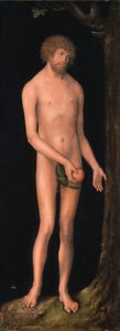 Niemiecki: Adam Adam autorstwa Lucas Cranach the Elder