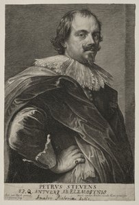 Portret Petera Stevensa.