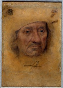 Portret doktora Petrusa von Clapisa Rysunek w pastelu Bruyna ze szkoły Lucasa Cranacha Starego (lub Starszego autorstwa Lucas the Elder Cranach