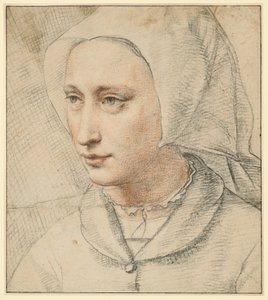  autorstwa Lucas van Leyden