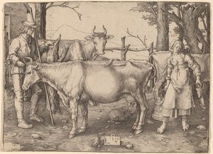 Dojarka autorstwa Lucas van Leyden