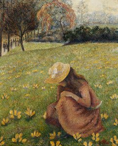 krokusy; Les Crocus