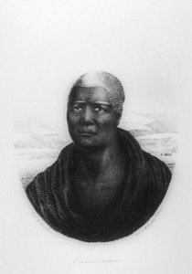 Kamehameha I, Hawaje, 1816