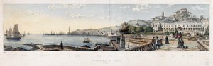 Panoramiczny widok na miasto Genua (litografia autorstwa Luigi Garibbo