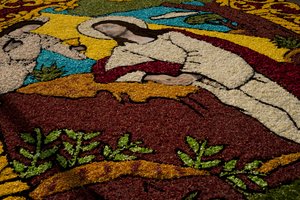 Wielki Tydzień Surco Flower Carpet, Lima, Peru, 2015.