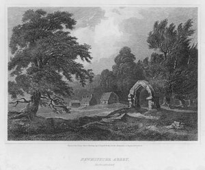Opactwo Newminster, Northumberland (grawerowanie)