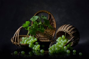 Obfita martwa natura z winogronami autorstwa Lydia Jacobs