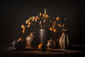Jesienna martwa natura z owocami autorstwa Lydia Jacobs