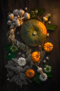 Martwa natura z jesiennymi zbiorami autorstwa Lydia Jacobs