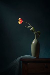 Ciemna martwa natura kwiatowa autorstwa Lydia Jacobs