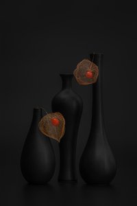 Elegancka czarna martwa natura z miechunką