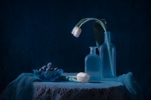 Elegancka niebieska martwa natura