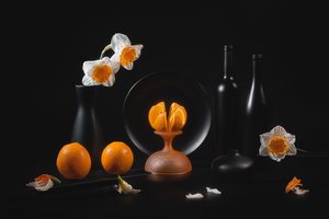 Elegancka martwa natura z cytrusami autorstwa Lydia Jacobs