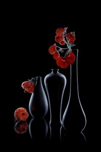 Elegancka ciemna flora