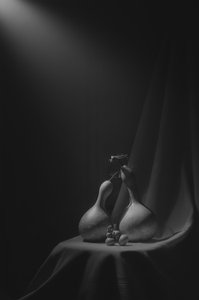 Elegancka martwa natura z dynią autorstwa Lydia Jacobs
