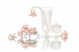 Eleganckie odbicie różowych kwiatów autorstwa Lydia Jacobs