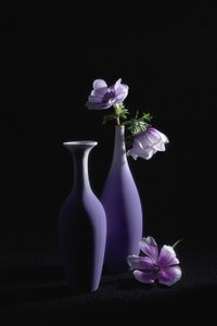 Eleganckie fioletowe zawilce autorstwa Lydia Jacobs