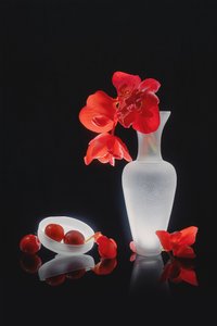 Elegancka czerwona martwa natura autorstwa Lydia Jacobs