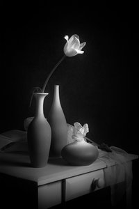 Elegancka martwa natura z tulipanami autorstwa Lydia Jacobs