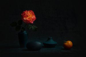Świecąca pomarańczowa róża