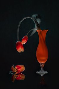 Promienna martwa natura z tulipanami autorstwa Lydia Jacobs