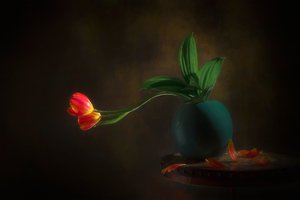 Martwa natura z wdzięcznymi tulipanami autorstwa Lydia Jacobs