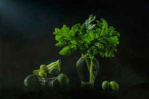 Bujna botaniczna martwa natura autorstwa Lydia Jacobs