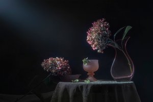Nastrojowa martwa natura z hortensjami autorstwa Lydia Jacobs