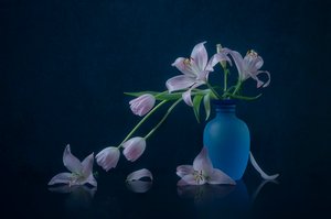 Nastrojowe lilie i tulipany autorstwa Lydia Jacobs