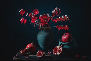 Nastrojowa martwa natura z czerwonym granatem autorstwa Lydia Jacobs