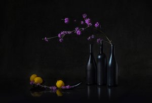 Ciemna martwa natura z fioletowymi jagodami autorstwa Lydia Jacobs