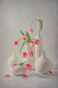 Jasnoróżowe tulipany autorstwa Lydia Jacobs