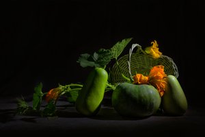 Barwna martwa natura ze żniwami autorstwa Lydia Jacobs