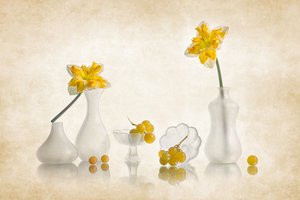 Żółte żonkile i winogrona autorstwa Lydia Jacobs