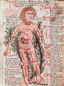 Medycyna: wpływ zodiaku na choroby człowieka (Miniatura autorstwa M Albik