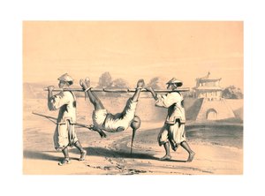 „Szkic od ściany rano po wielkim ataku”, Chiny, XIX wiek.