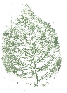 Botaniczny nadruk liści