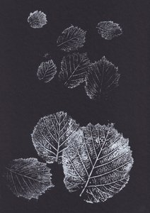 Botaniczne nadruki liści