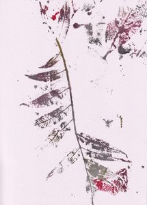 Wrażenia z Dark Leaf autorstwa Maira Ribena