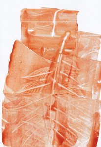 Wrażenia z „Earthy Leaf” autorstwa Maira Ribena