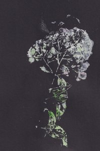 Moody Floral Impression autorstwa Maira Ribena
