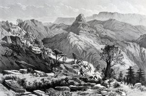 W marszu w pobliżu Dongolo, grawerowane przez Jamesa Fergusona, 1868 autorstwa Major A.G.F. Hogg