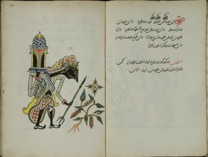 Wukon Jawa, MS 41 str.34, zdjęcie 17, 1830 r.