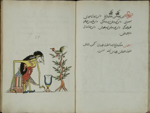 Wukon Jawa, MS 41 str.54, zdjęcie 27, 1830 r.