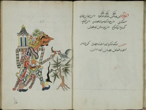 Wukon Jawa, MS 41 str.58, zdjęcie 29, 1830 r.