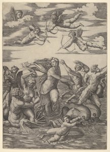 Galatea stojąca w wodnym rydwanie ciągniętym przez dwa delfiny, otoczona trytonami, nere..., 1515-16. autorstwa Marcantonio Raimondi