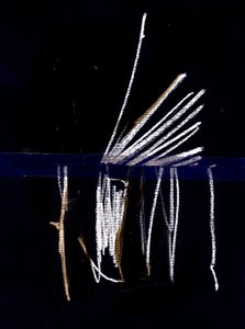 Due, 2018 (kolaż) autorstwa Marco Campedelli