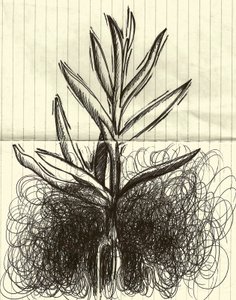 Roślina, 2014 (tusz na papierze) autorstwa Marco Campedelli