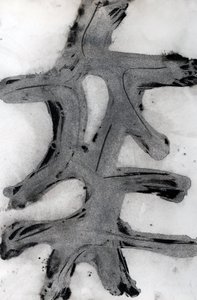 Ramas, 2014 (tusz na papierze) autorstwa Marco Campedelli