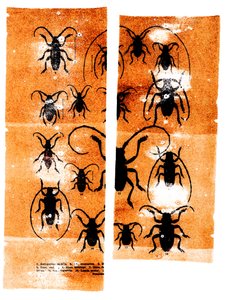 Scarfaces, 2023 (mixed media) autorstwa Marco Campedelli